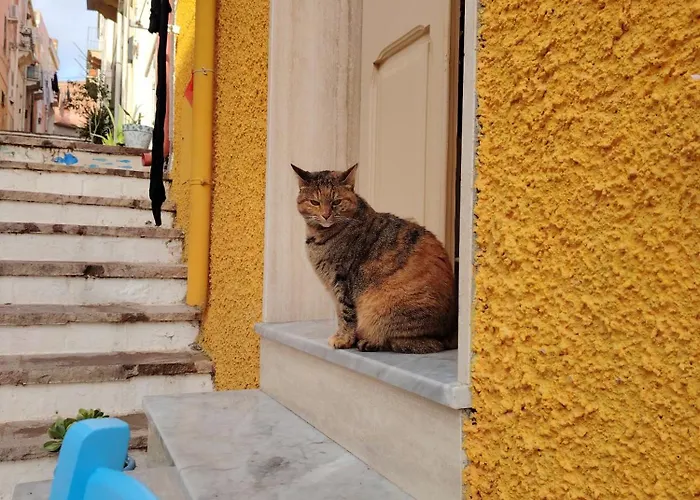 Casa Fiorenza - Da E Nonne Appartement Carloforte (Isola di San Pietro)